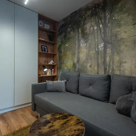 Slowackiego شقة *